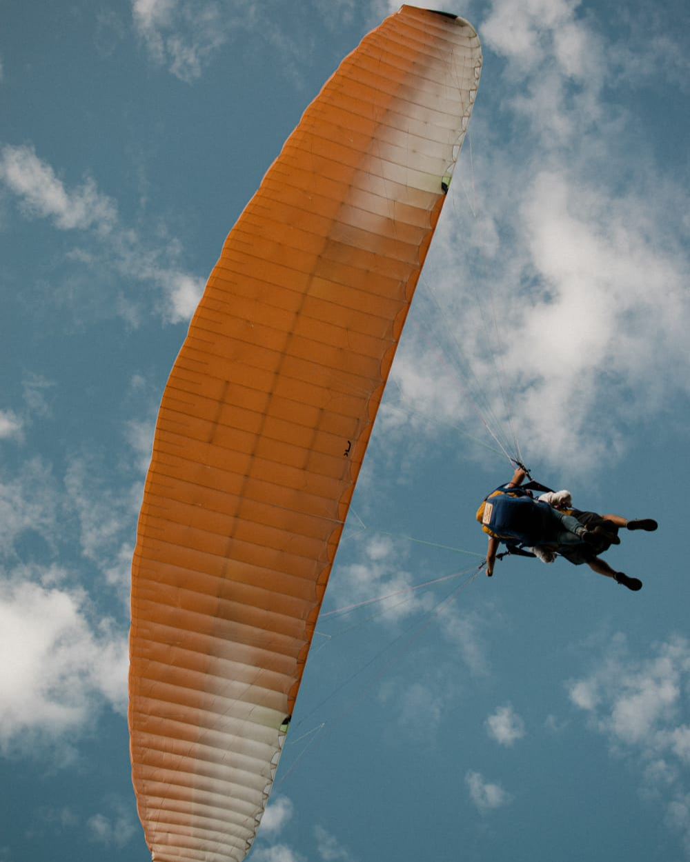 Paragliding